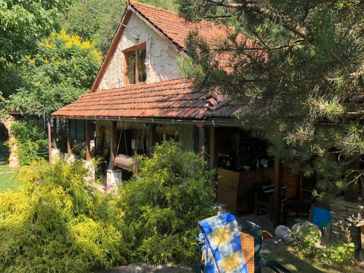 Гостевой дом Villa Jrvezh Дилижан Экстерьер фото
